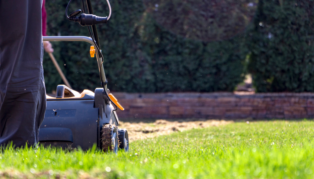 What Is A Lawn Scarifier & Why & How To Use One